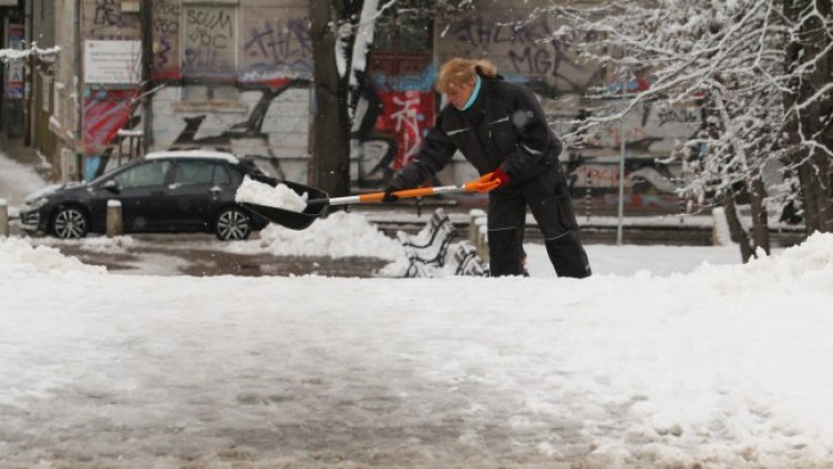 Снимка: БГНЕС