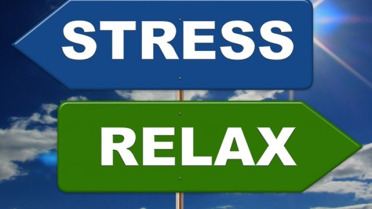 Снимка: Pixabay/geralt