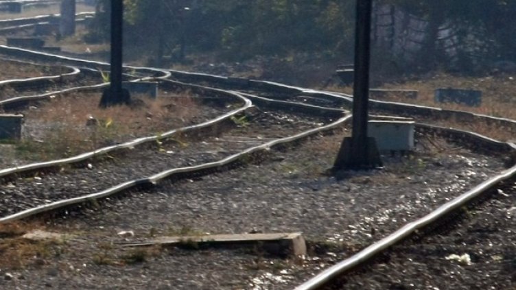 Снимка: архив, БГНЕС