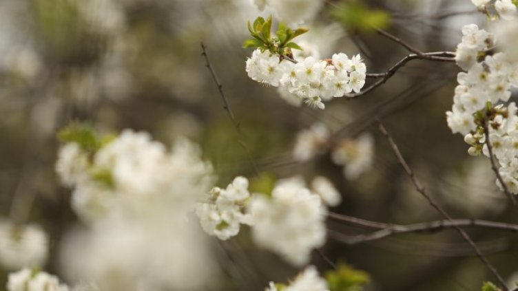 Снимка: Bulgaria ON AIR