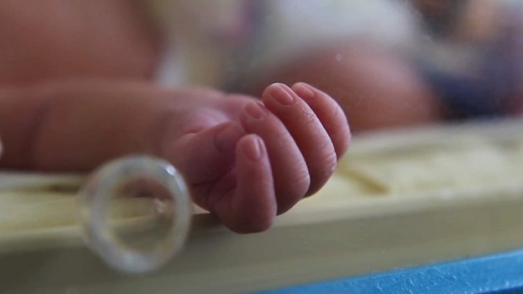 Снимка: БГНЕС, архив