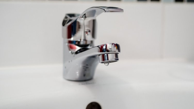 Снимка: Michal Jarmoluk от Pixabay