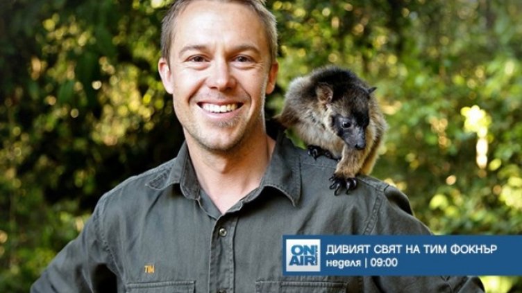 Снимка: Bulgaria ON AIR