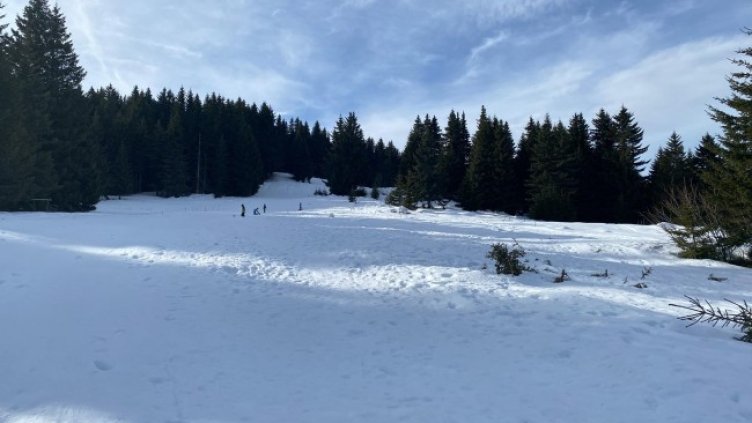 Снимка: архив, БГНЕС