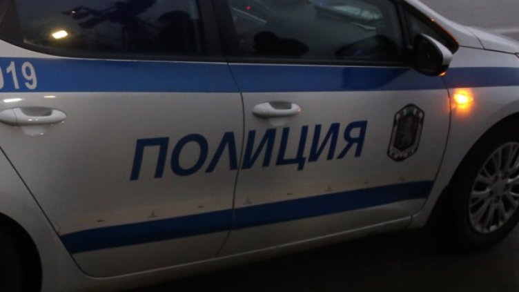 Снимка: архив, БГНЕС