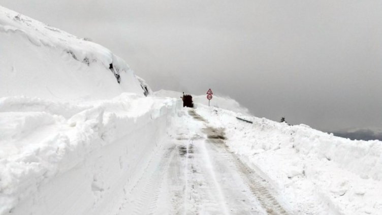 Снимка: АПИ