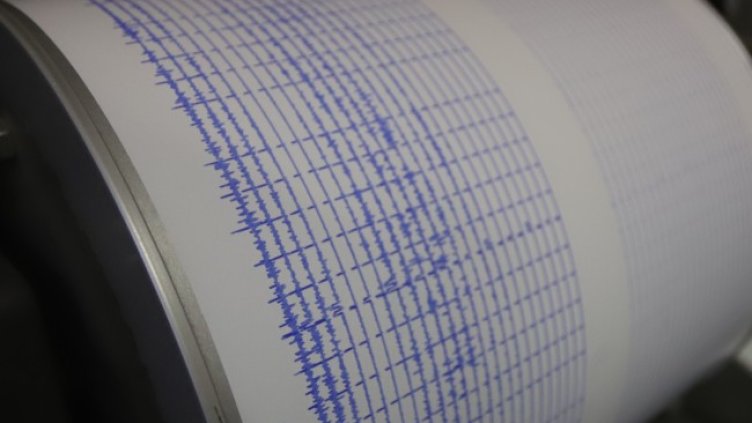 Снимка: архив, БГНЕС