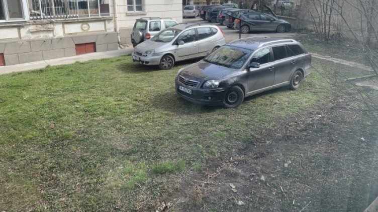 Снимка: Helpbook