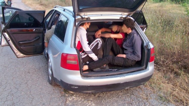 Снимка: БГНЕС