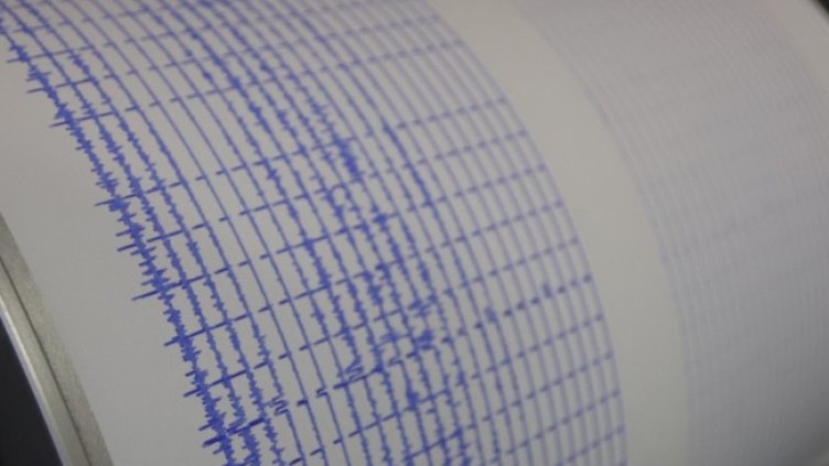 Снимка: архив, БГНЕС