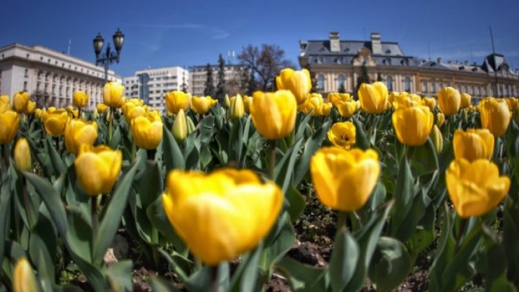 Снимка: Димитър Кьосемарлиев, Dnes.bg