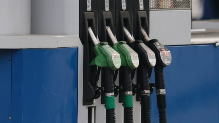 Снимка: архив, БГНЕС