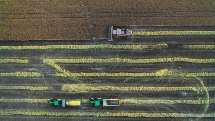 Снимка: архив, БГНЕС