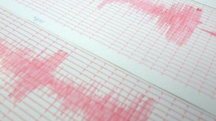 Снимка: архив, БГНЕС