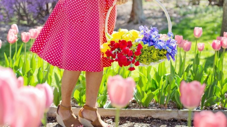 Pixabay/Jill Wellington