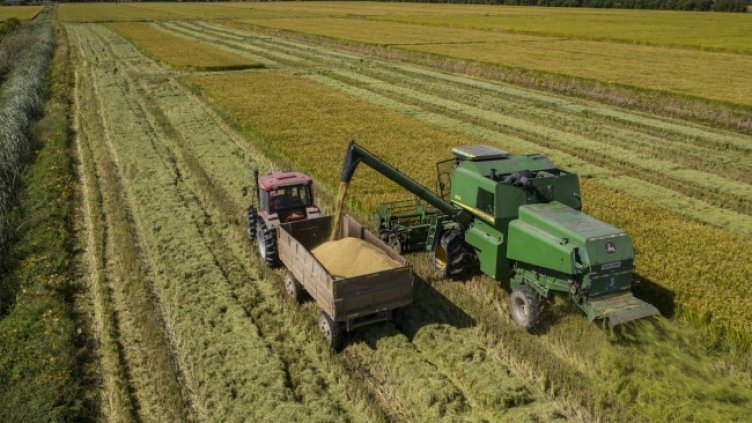 Снимка: Bloomberg