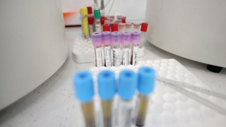 Снимка: Димитър Кьосемарлиев