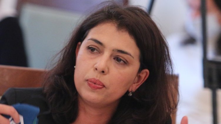 Снимка: архив, БГНЕС