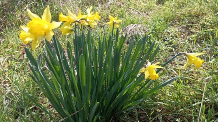 Снимка: Теодора Тарева