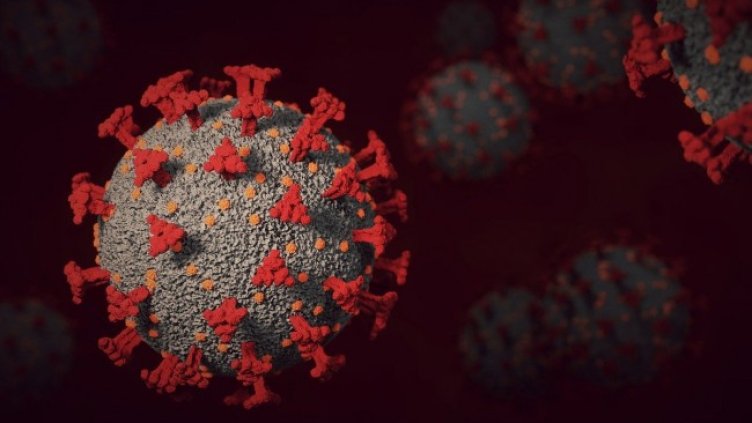 Снимка: Pixabay/BlenderTimer