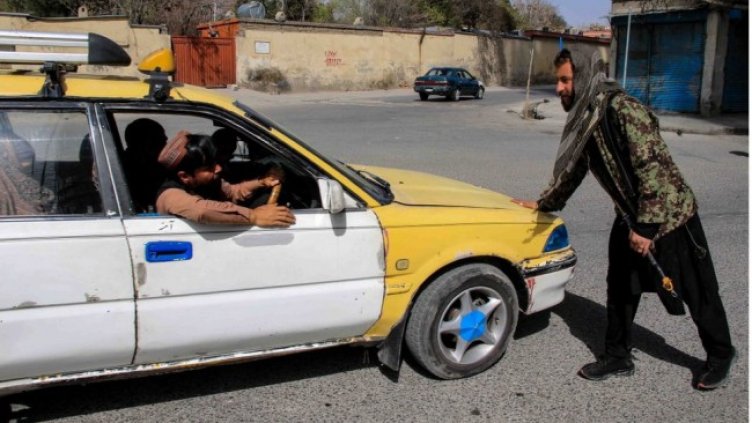 Снимка: архив, БГНЕС