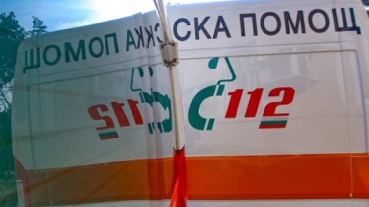 Снимка: Димитър Кьосемарлиев, Dnes.bg