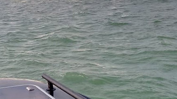 Снимка: архив, БГНЕС