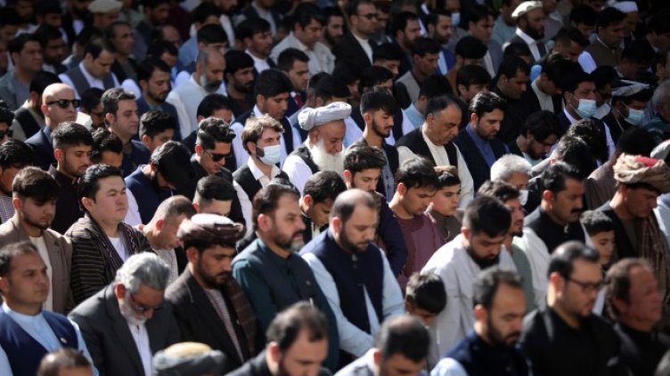 Снимка: архив, БГНЕС