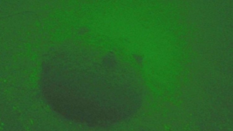 Снимка: ВМС