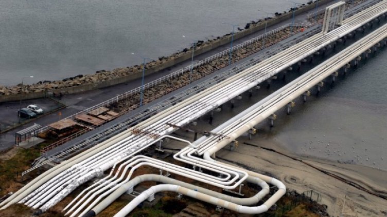 Снимка: архив, БГНЕС