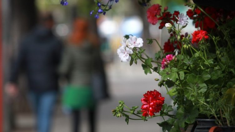 Снимка: архив, БГНЕС