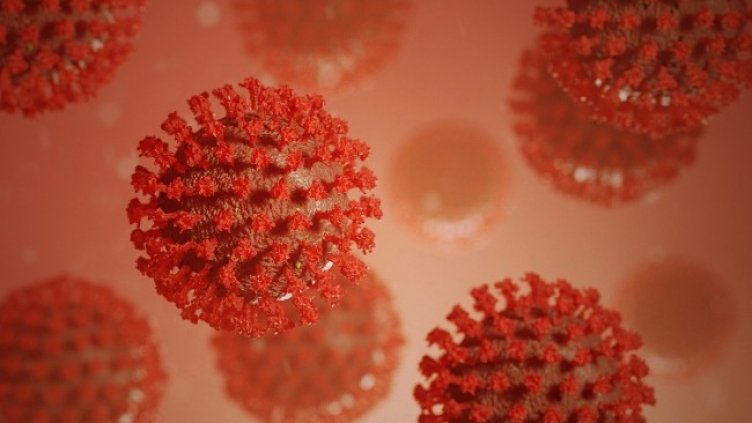 Снимка: Pixabay/visuals3Dde