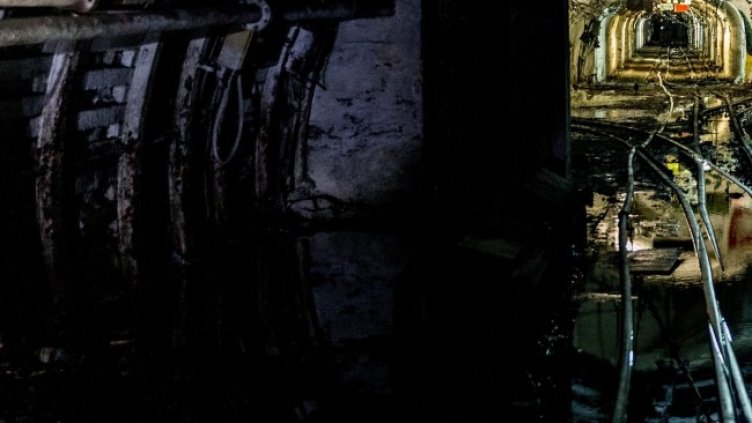 Снимка: архив, БГНЕС