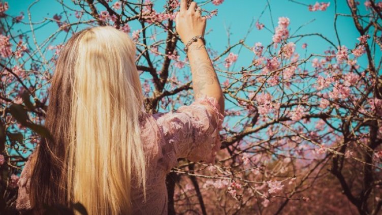 Снимка: Pexels/Ingrid Santana