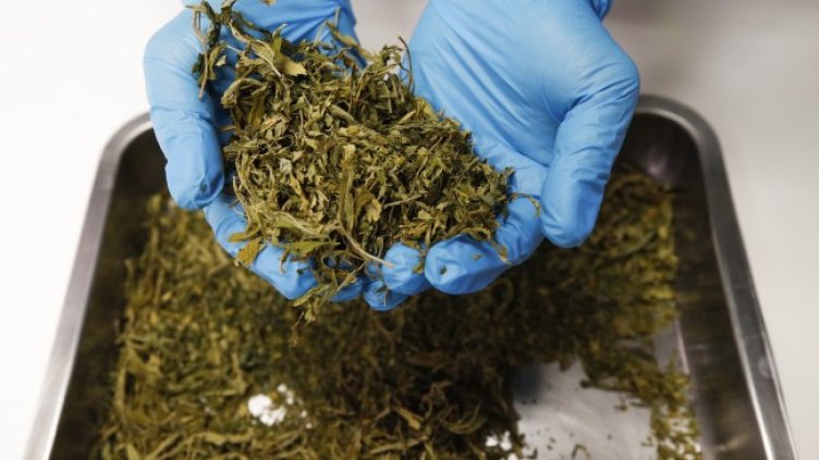 Снимка: архив, БГНЕС