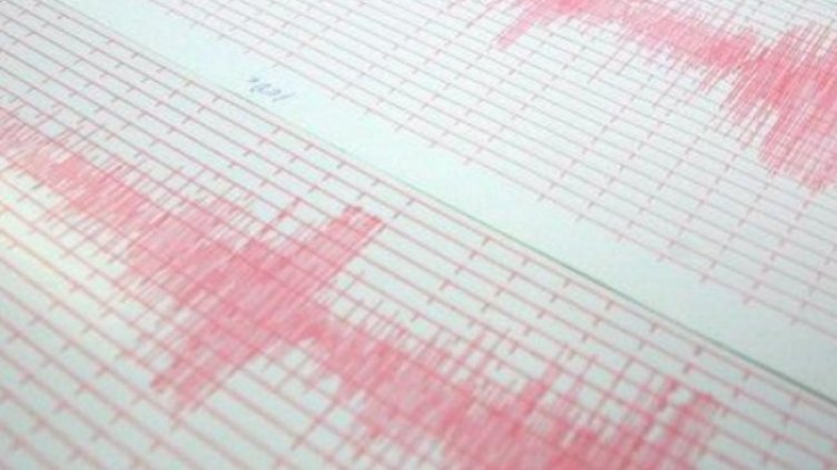 Снимка: архив, БГНЕС