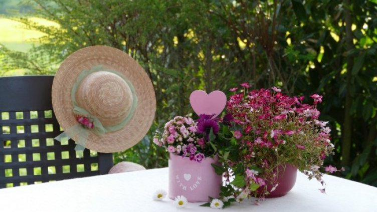 Снимка: Pixabay/Katzenfee50