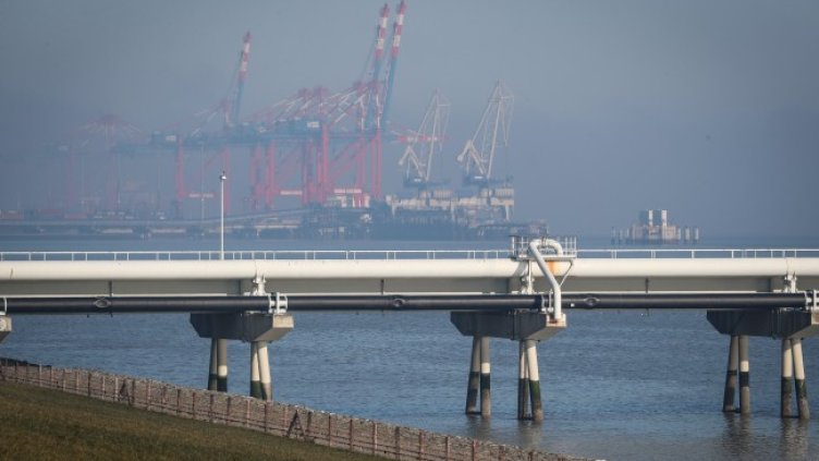 Снимка: архив, БГНЕС