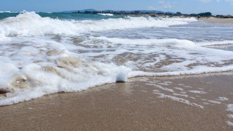 Снимка: РИОСВ-Бургас