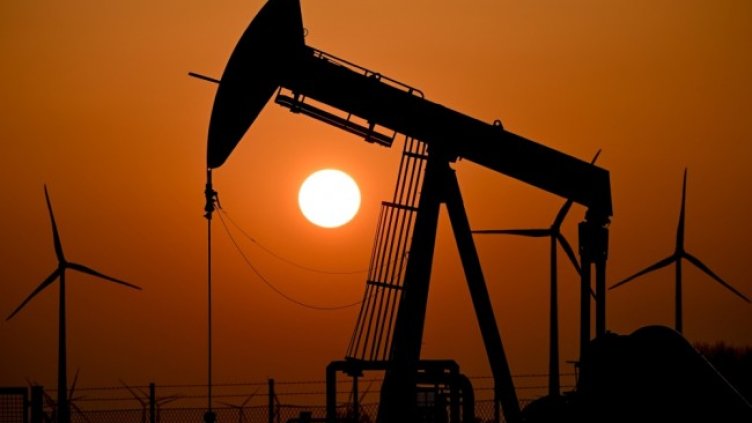 Снимка: архив, БГНЕС