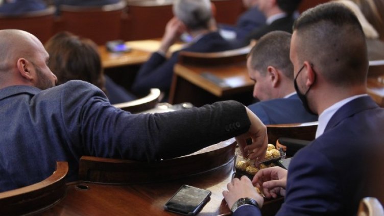 Снимка: Димитър Кьосемарлиев, Dnes.bg