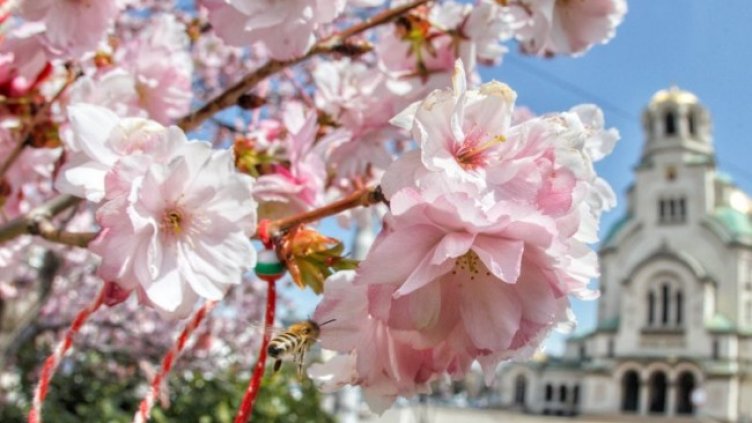 Снимка: Димитър Кьосемарлиев, Dnes.bg