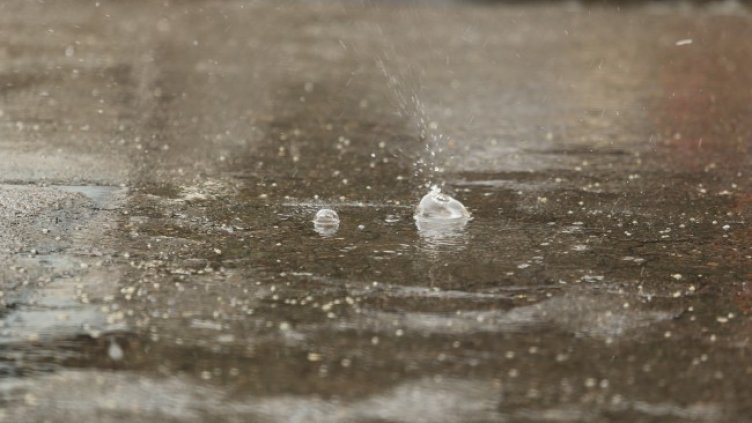 Снимка: Pixabay