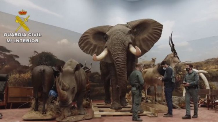 Снимка: Гражданската гвардия на Испания