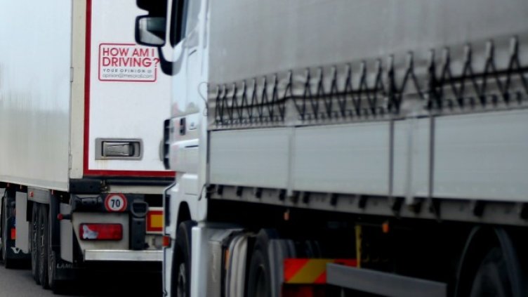 Снимка: архив, БГНЕС