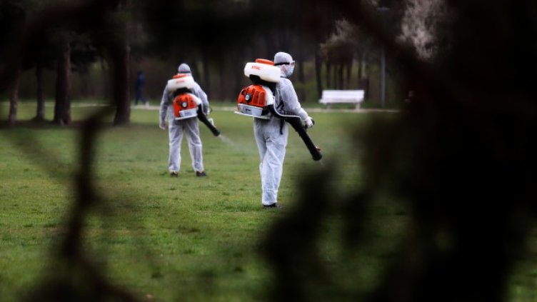 Снимка: БГНЕС