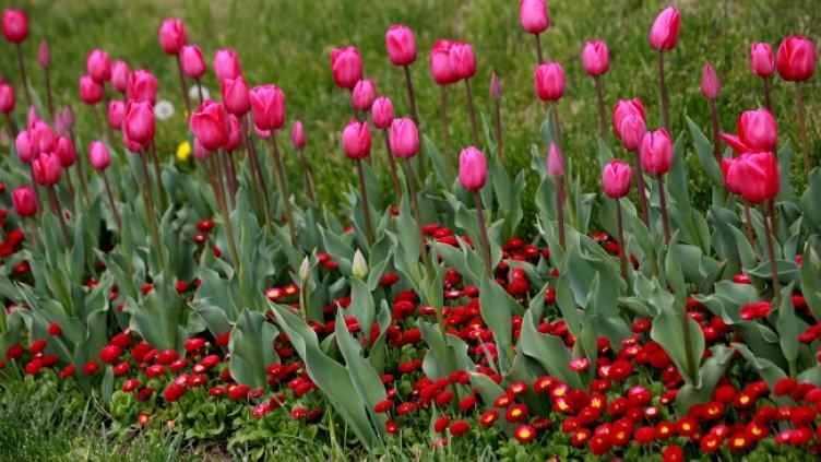 Снимка: архив, БГНЕС