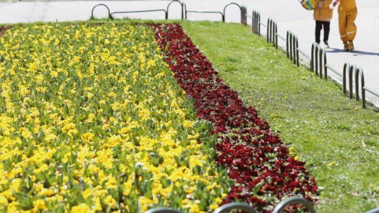 Снимка: БГНЕС