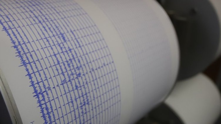 Снимка: архив, БГНЕС