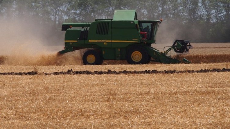 Снимка: архив, БГНЕС
